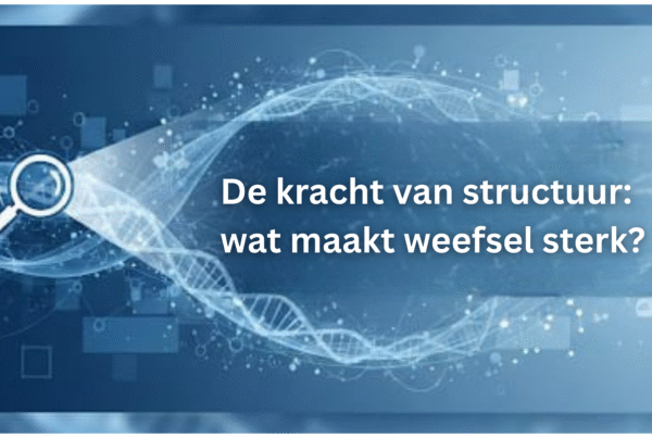 De kracht van structuur: wat maakt weefsel sterk? Interview met Gijsje Koenderink. Hoe bepaalt collageen de sterkte van weefsels? TU Delft onderzoekt hoe structuur en mechanische eigenschappen cellen en ziekte beïnvloeden.