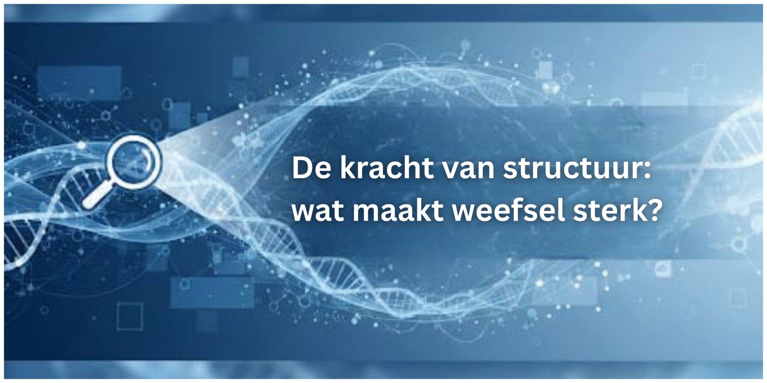 De kracht van structuur: wat maakt weefsel sterk? Interview met Gijsje Koenderink. Hoe bepaalt collageen de sterkte van weefsels? TU Delft onderzoekt hoe structuur en mechanische eigenschappen cellen en ziekte beïnvloeden.